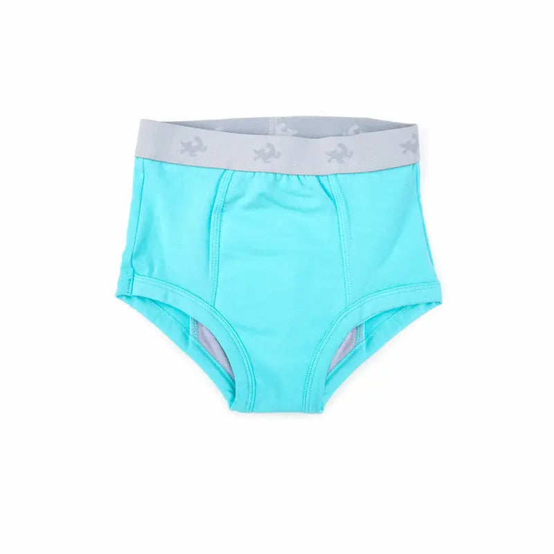 Children Potty-Training-Underpants-Aqua
